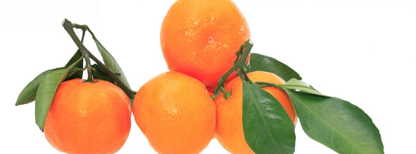 oranges-vit-c-with-leaves-narrow